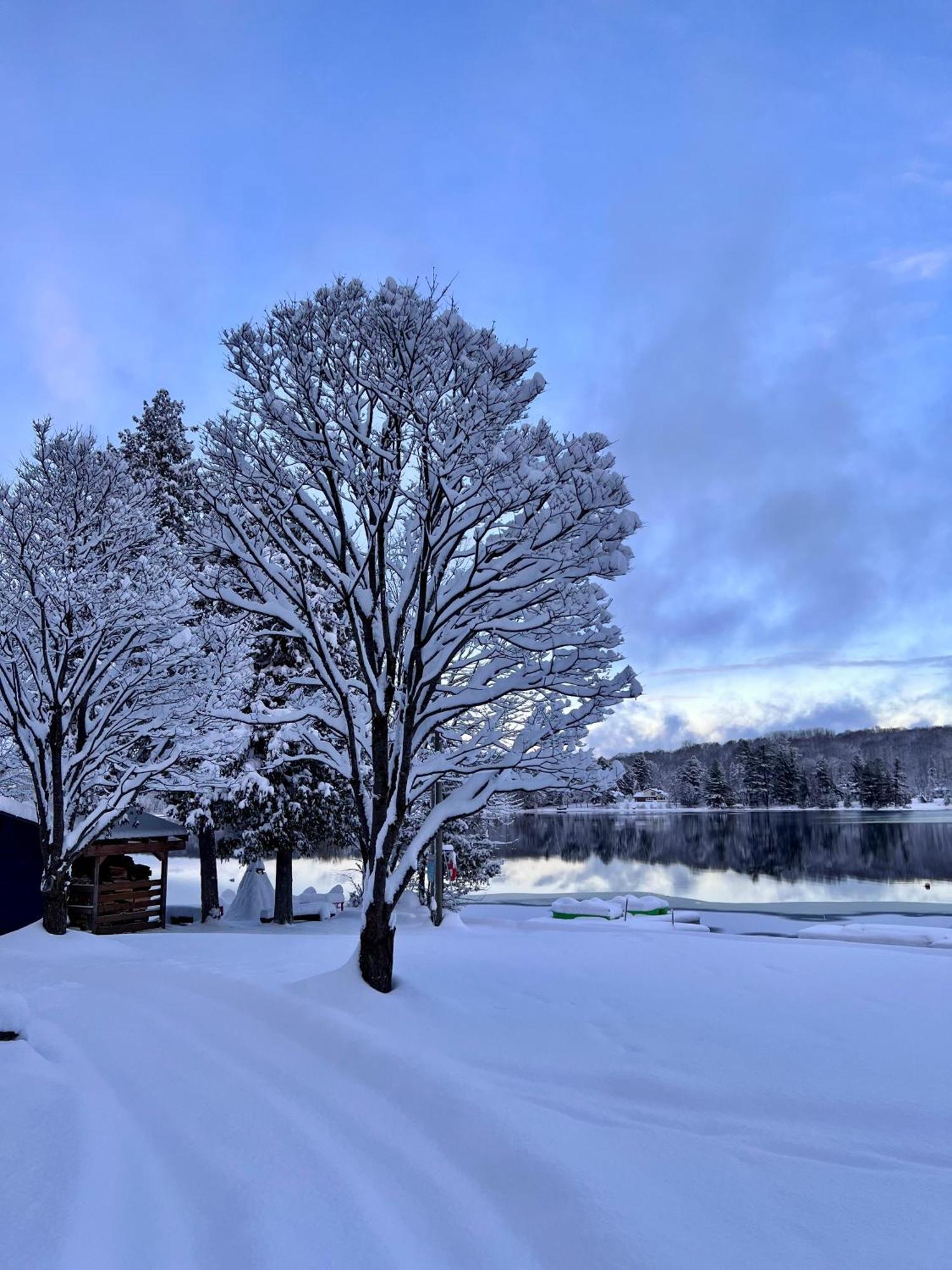 Bonnie View Inn Haliburton Exterior foto